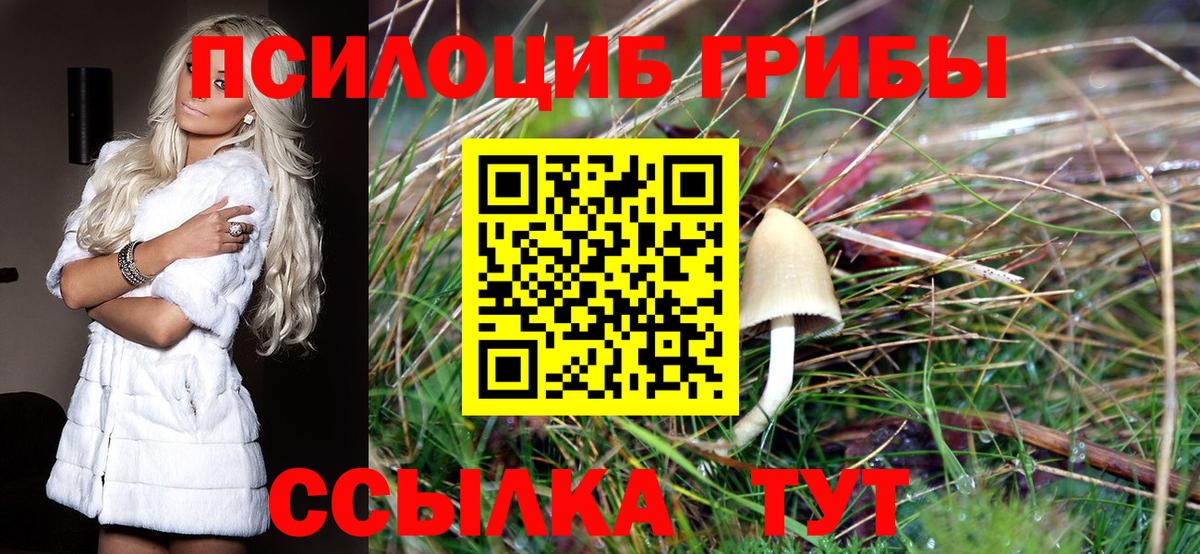 Псилоцибиновые грибы Psilocybine cubensis Людиново